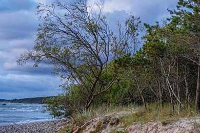 BBC：塞内加尔展现非洲足球在极端环境中的新高度，塞内加尔位于非洲最北端